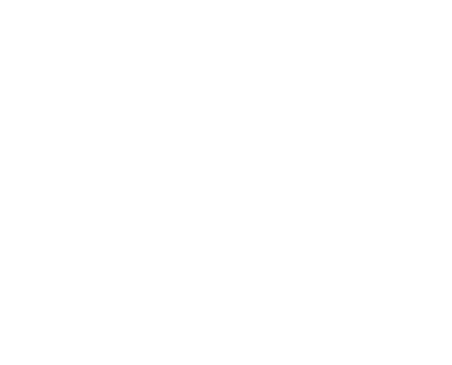 Project V Studios_Karl Lagerfeld