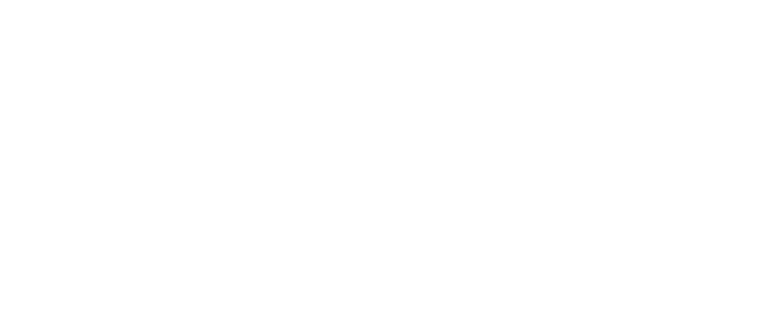Project V Studios_Liquid Analytics